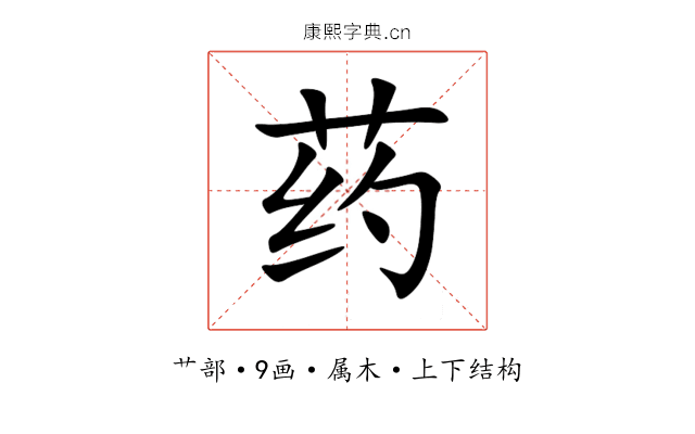 药 药