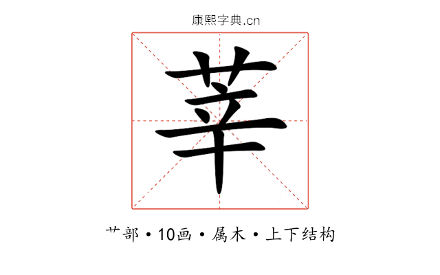 莘