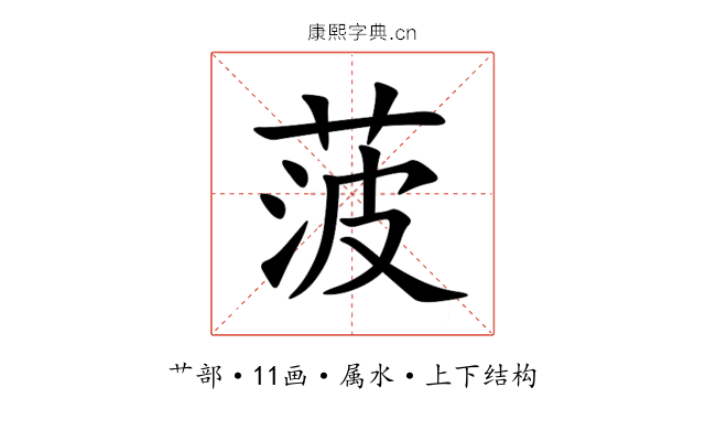 菠 菠