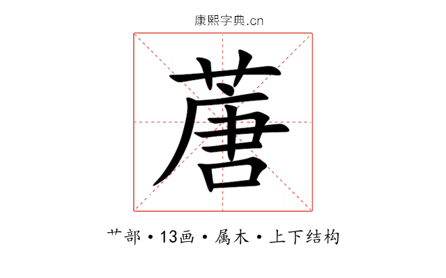蓎 蓎