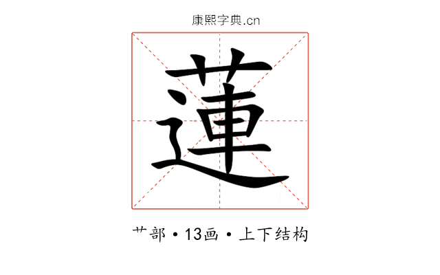 蓮 蓮