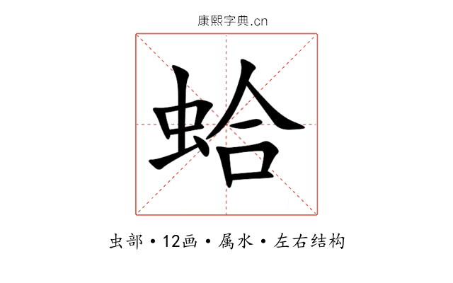 蛤 蛤
