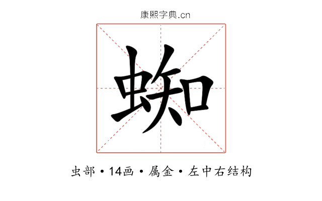 蜘