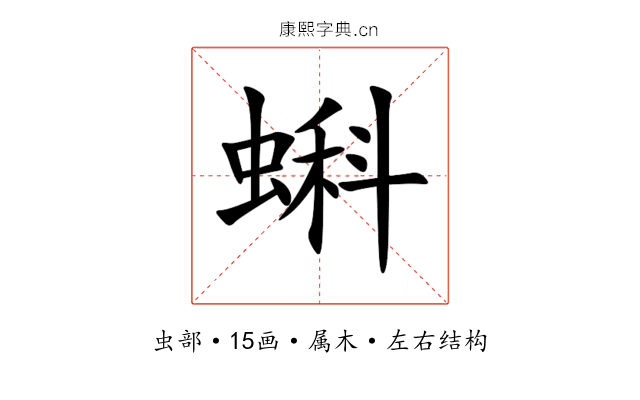 蝌 蝌