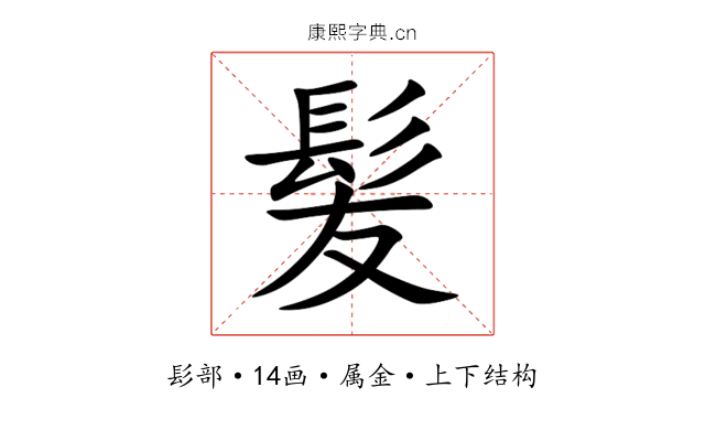 髪 髪