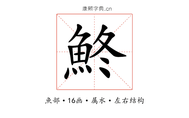 鮗 鮗
