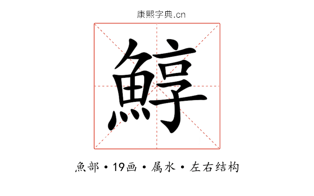 鯙 鯙
