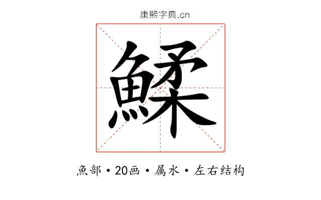 鰇