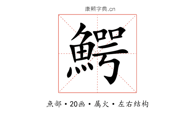 鰐 鰐