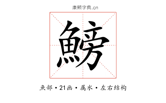 鰟 鰟