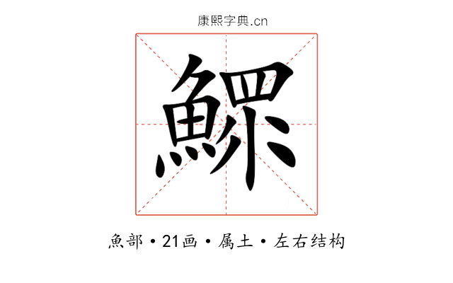 鰥 鰥