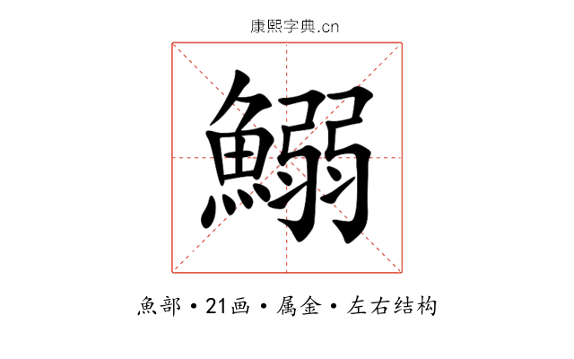鰯 鰯