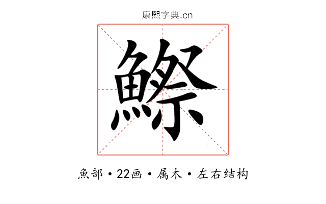 鰶 鰶