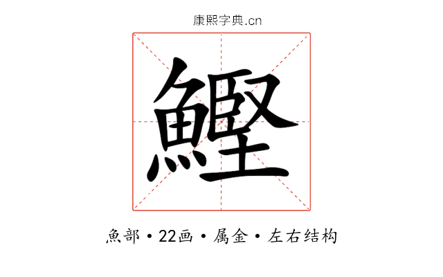 鰹 鰹