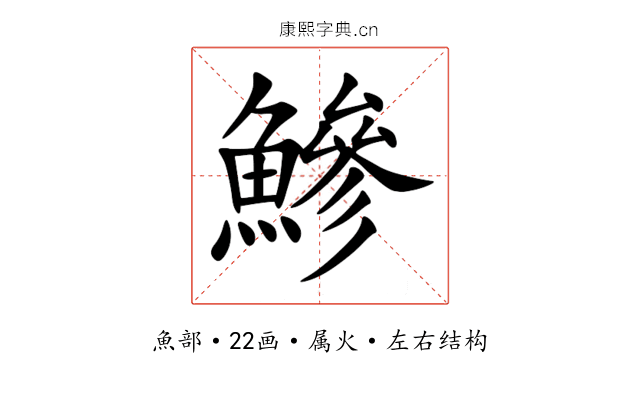 鰺 鰺