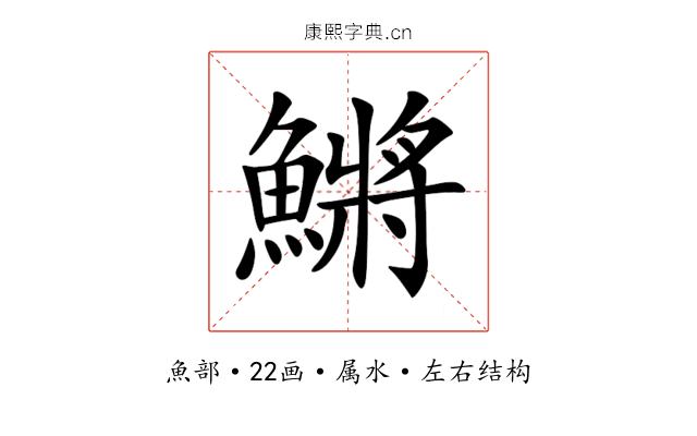 鱂 鱂