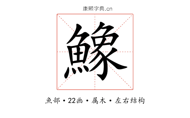 鱌