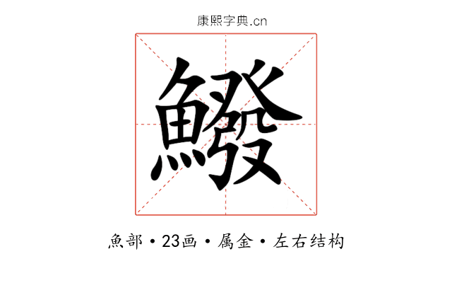 鱍 鱍