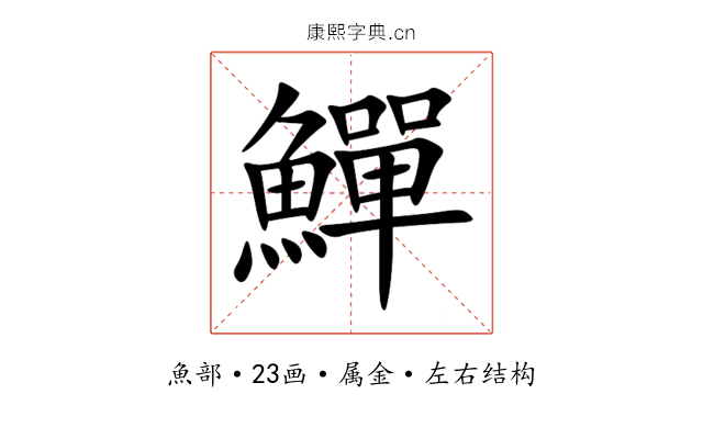 鱓 鱓