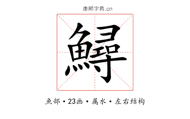 鱘