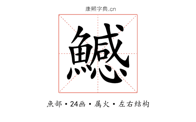 鱤