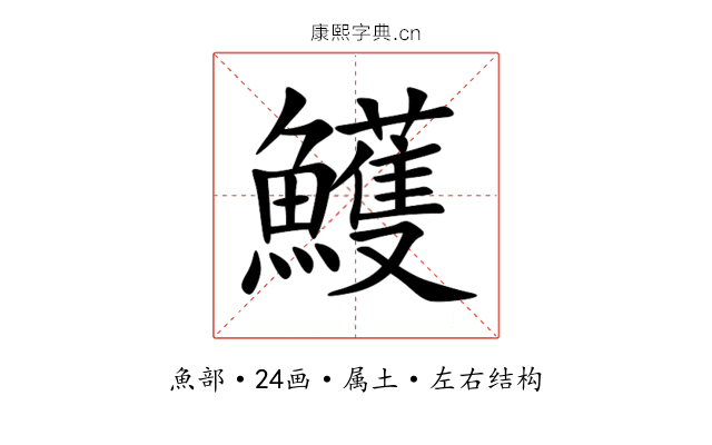 鱯 鱯