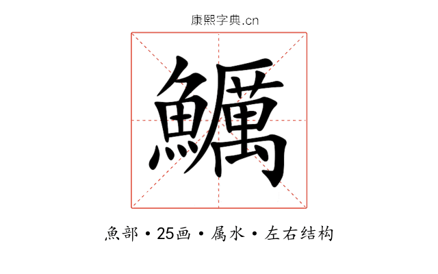 鱱 鱱