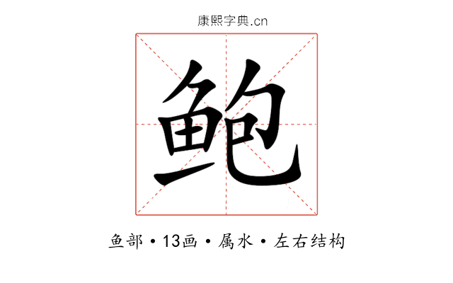 鲍 鲍