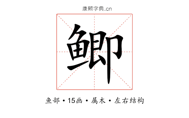 鲫 鲫