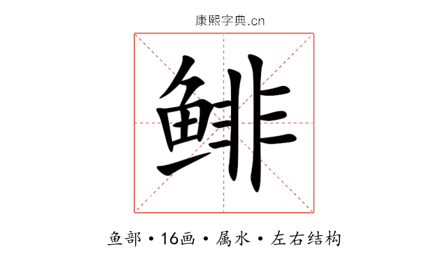 鲱 鲱
