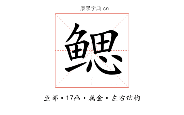 鳃 鳃
