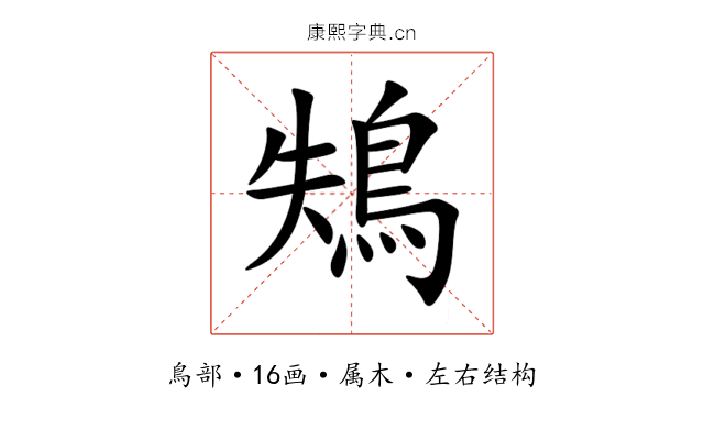 鴩