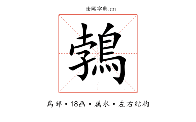 鵓 鵓