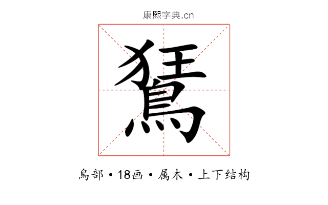 鵟 鵟