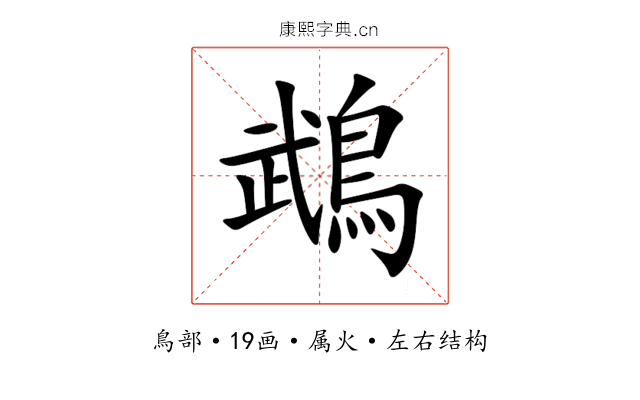 鵡 鵡