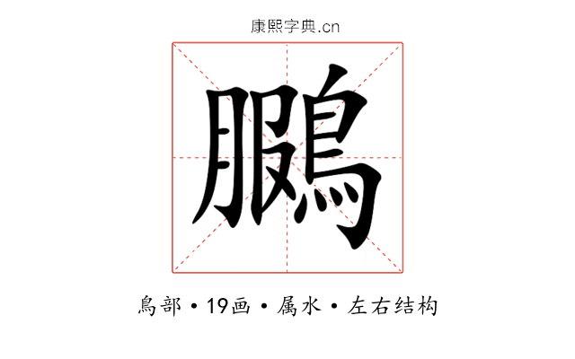 鵩 鵩