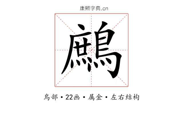 鷓 鷓