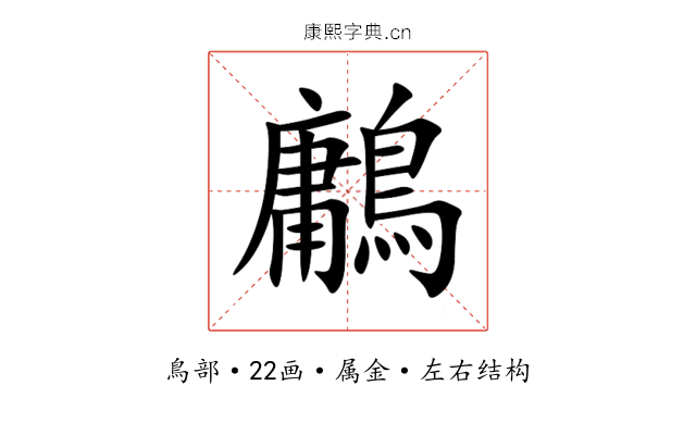 鷛 鷛