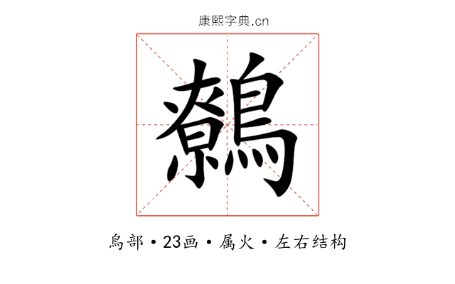 鷯 鷯