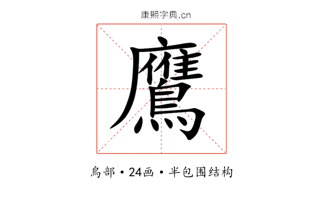 鷹 鷹