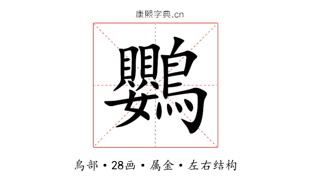 鸚