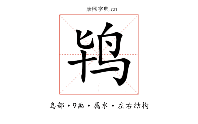 鸨 鸨