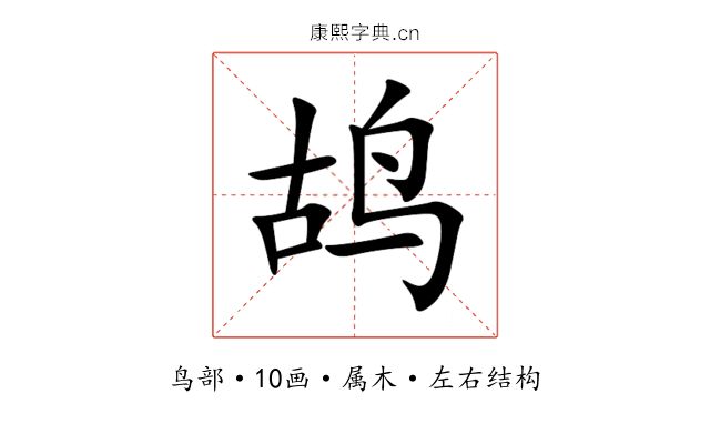 鸪