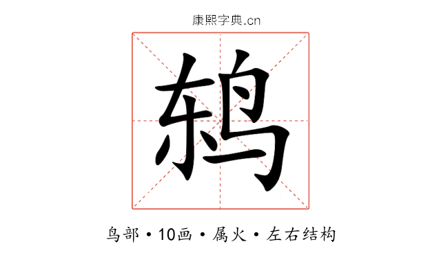 鸫 鸫