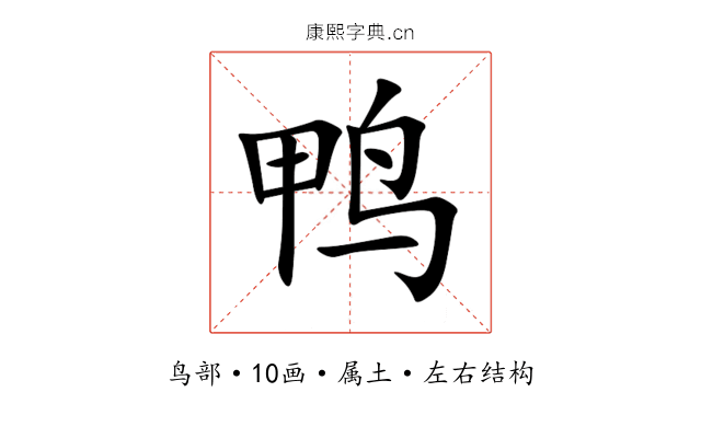 鸭 鸭
