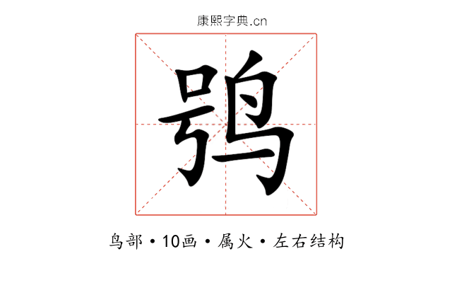 鸮 鸮