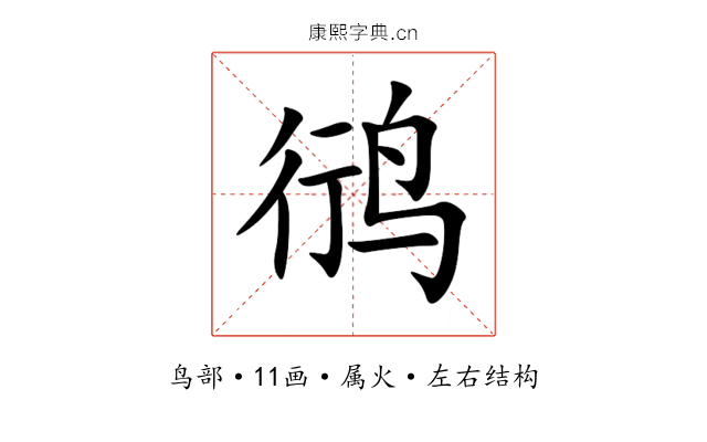 鸻 鸻