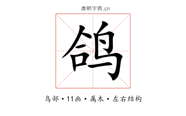 鸽 鸽
