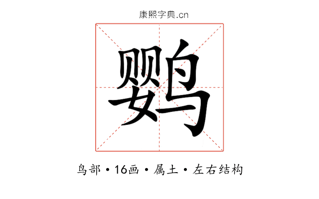 鹦 鹦