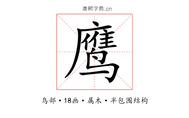 鹰 鹰
